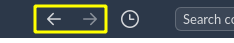 Forward and backward buttons next to the search bar